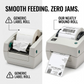 20 Rolls of Zebra Compatible Labels 100mm x 150mm (4" x 6")